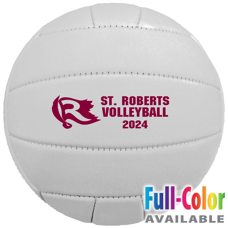 5 Synthetic Leather Mini Volleyballs Questions & Answers
